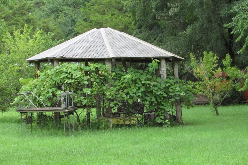 Talihina Berrybramble Cottage מראה חיצוני תמונה